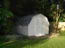 Shed Photo 1